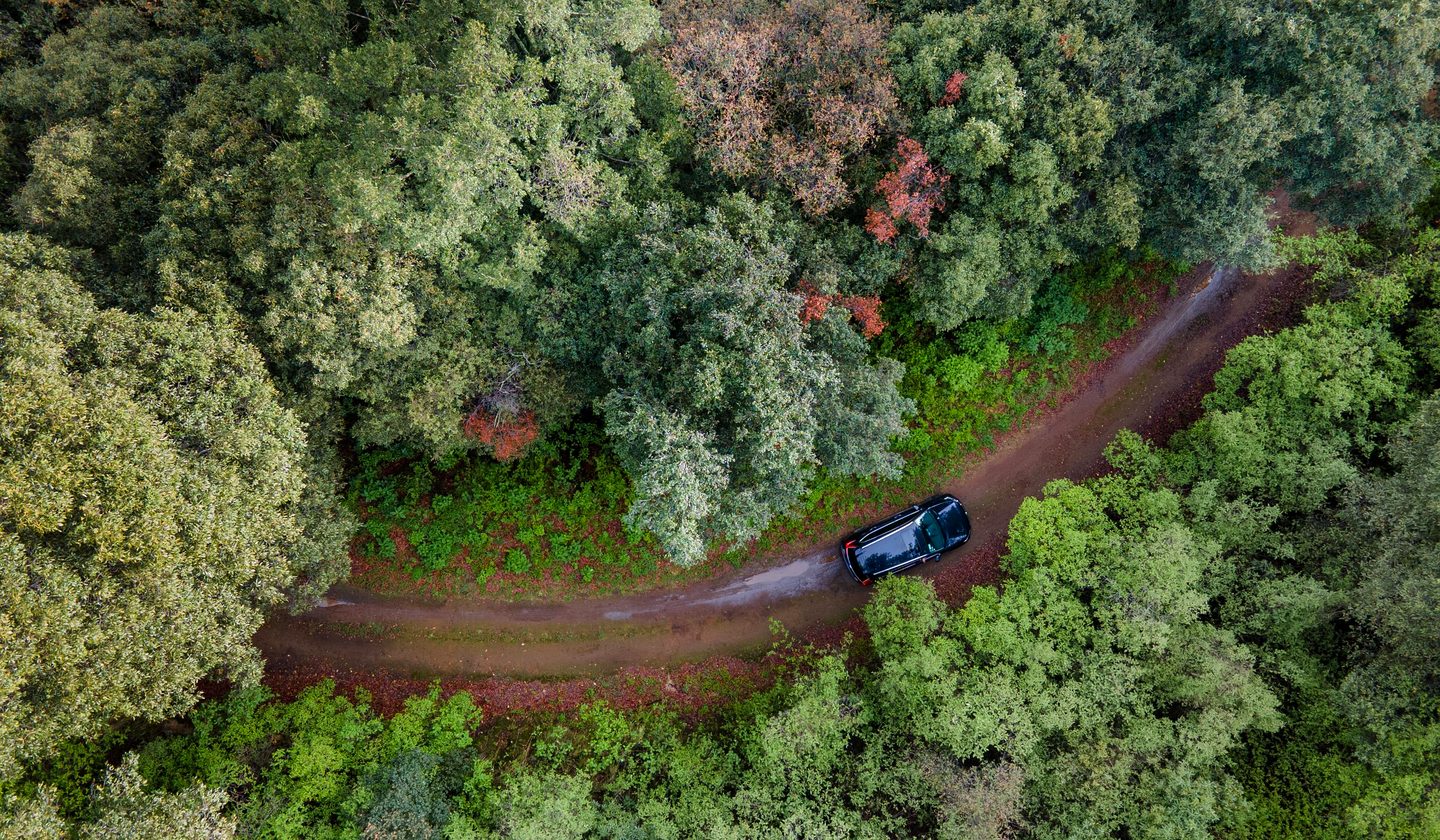 A dark SUV on a forest road