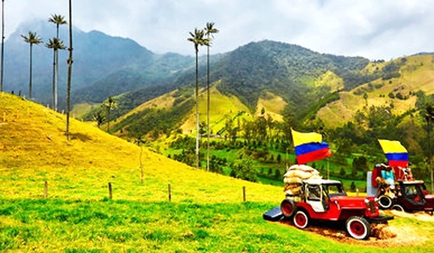 Willys jeeps among the wax palms of the Cocora Valley